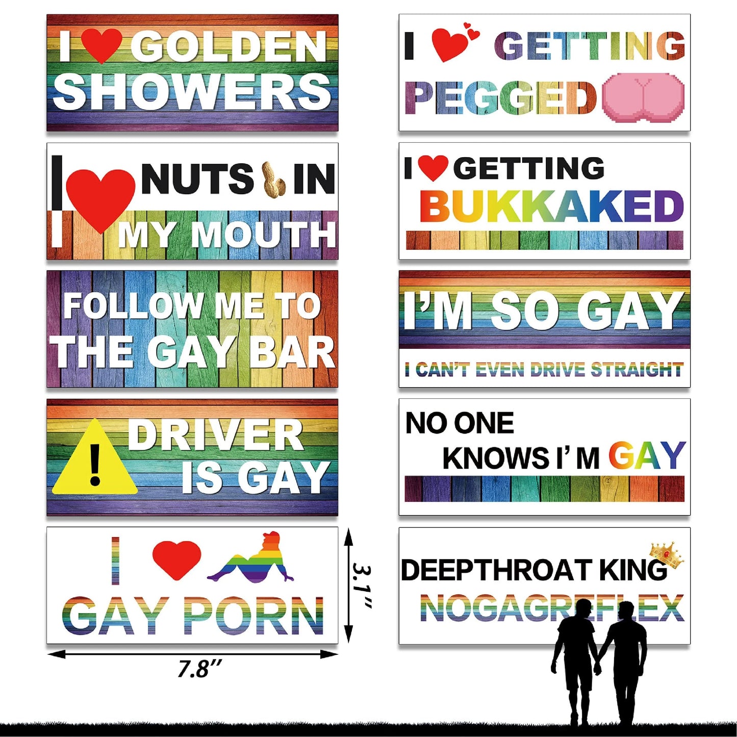 10 Pcs Funny LGBT Magnetic Bumper Stickers